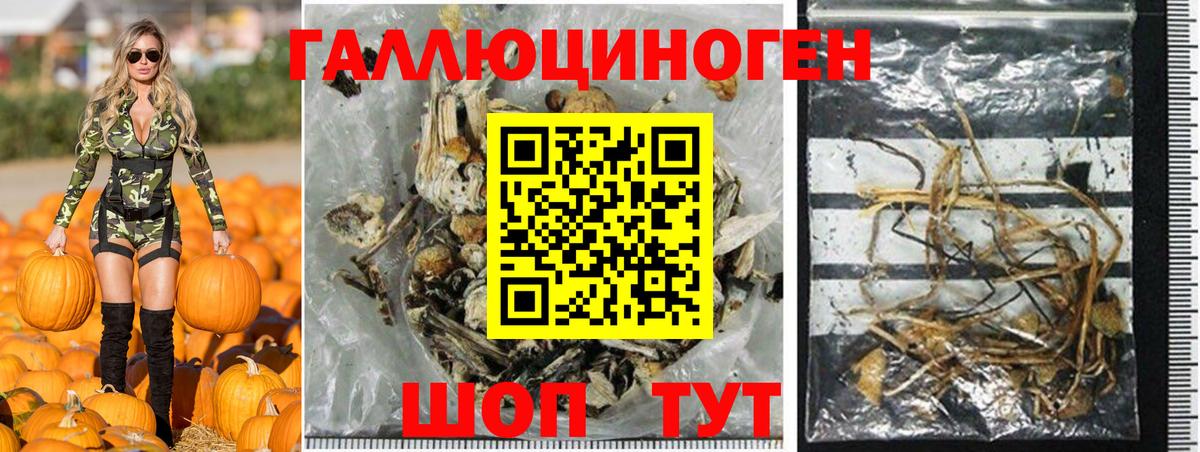 Реутов  Псилоцибиновые грибы MAGIC MUSHROOMS  Вход с VPN 
